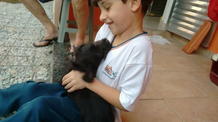 Cachorro ra a SRD idade Abaixo de 2 meses nome Nina