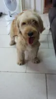 Bob