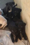A escolha do futuro