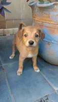 A escolha do futuro