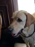Ralf