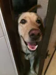 Ralf
