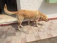 Ralf