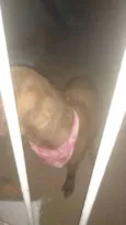 Docinho