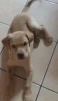 Marley