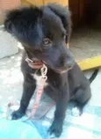 samira