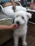 s/identificação