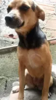 Pretinha 