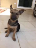 Frida