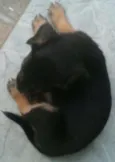 nao tem nomes ainda