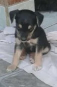 nao tem nomes ainda