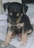 nao tem nomes ainda
