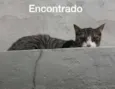 Encontrado