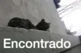 Encontrado