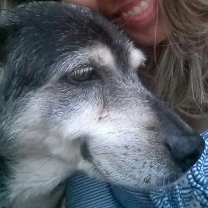 Cachorro ra a Srd idade 6 ou mais anos nome Sofi