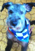 FLOQUINHO 