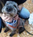 FLOQUINHO 