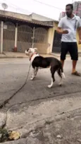 Não sabe-se o nome