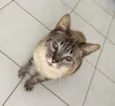 Luca