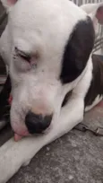 Não sabe-se o nome