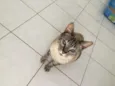 Luca