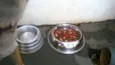 ducke