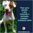 THOR