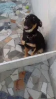 Nick