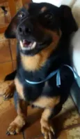 Logan