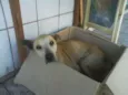 Não tem