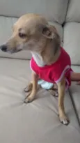 Tyta