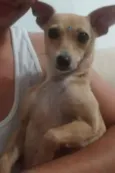 Tyta