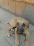 Não tem