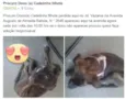 Pequena