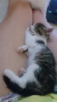 MiuMiu