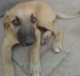 Não tem