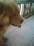 bily