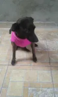 nene