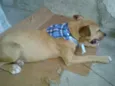 Amarelo