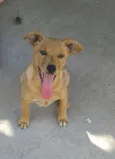 Marley