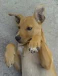 Marley