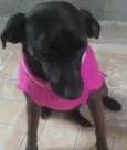 nene