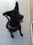 Negão