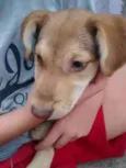 Twix