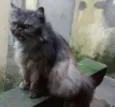 PÉRSIA