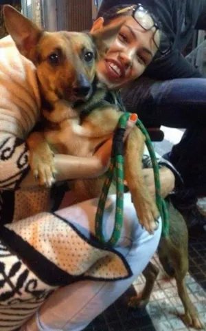 Cachorro raça Indefinida idade 3 anos nome Noela