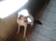 Nina