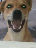kiara