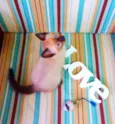 Bono