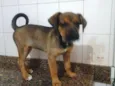 princesa